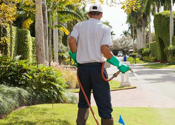 About Hellier KY Pest Control Pros